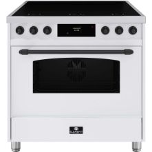 Elementi di Cucina EC9036-WT-IX-B inductie fornuis - klassiek - wit